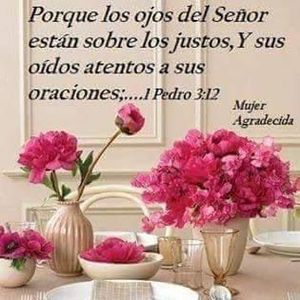 Meet your Posher, Bey